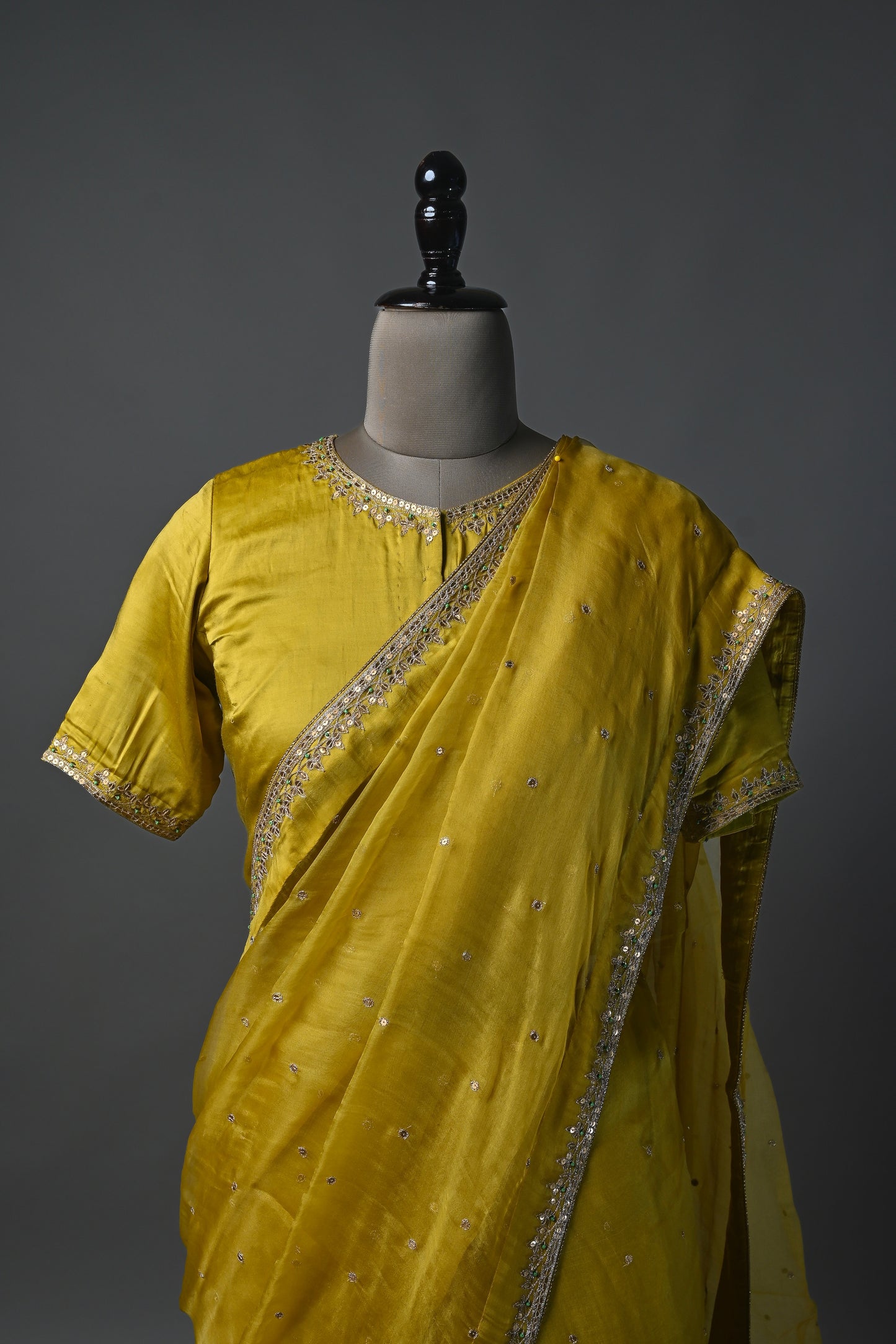 Medallion Hand Embroidered Silk Organza Saree