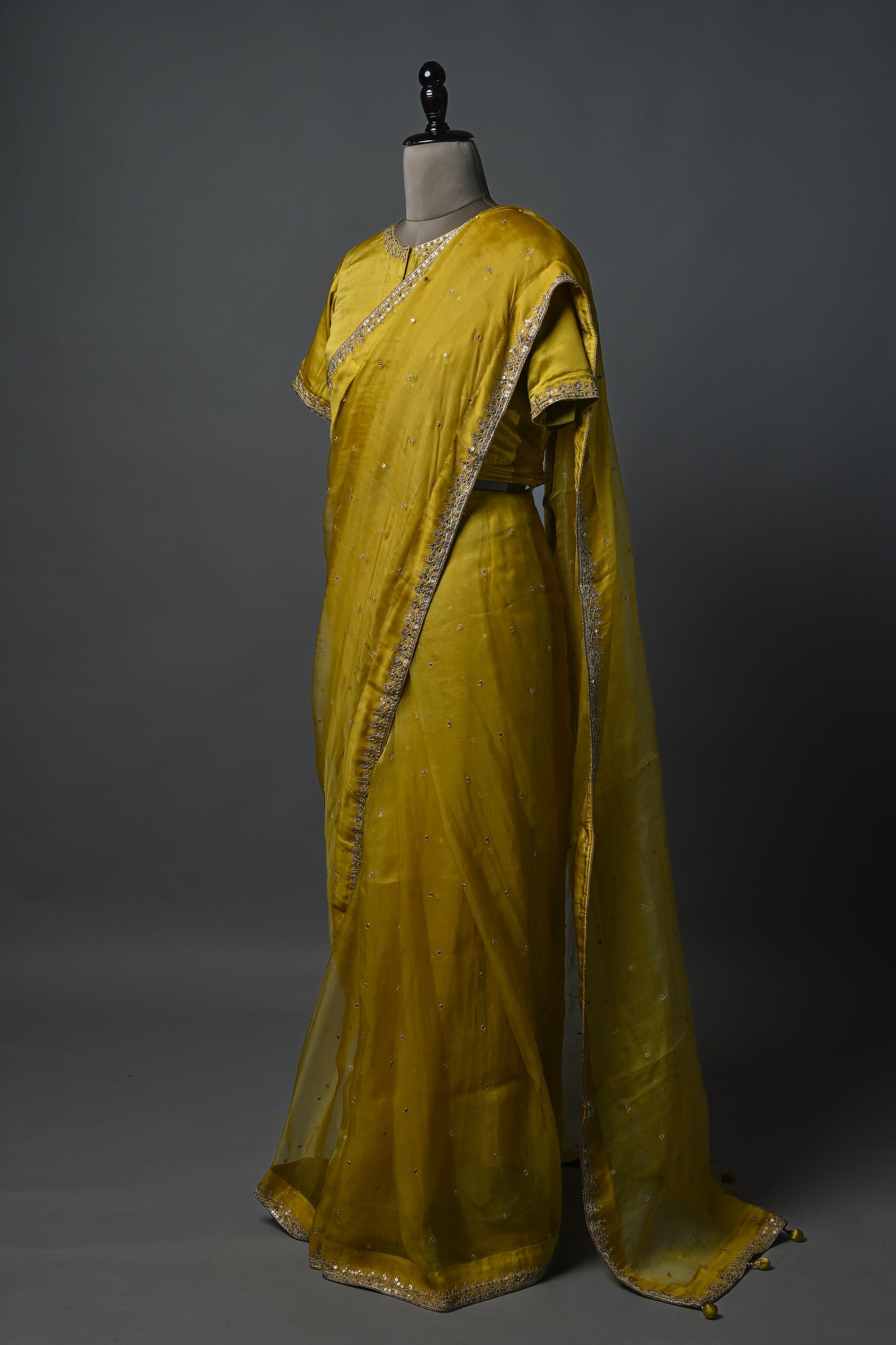 Medallion Hand Embroidered Silk Organza Saree