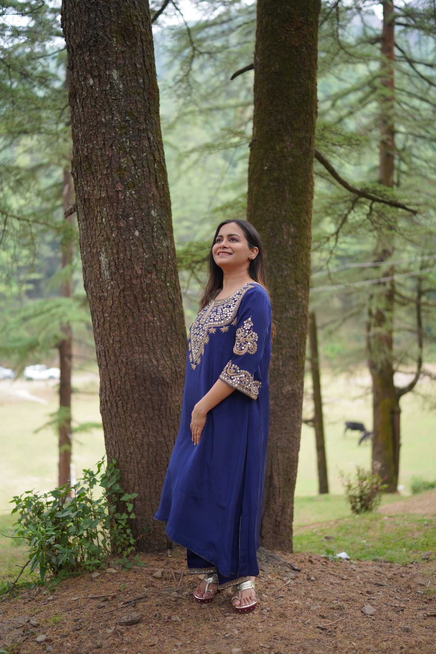 Blue Gulnaar