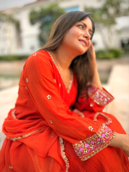 Saanjh Anarkali set